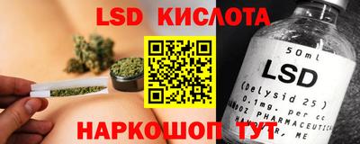крисы Боровичи