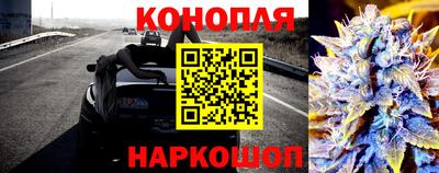 крисы Боровичи