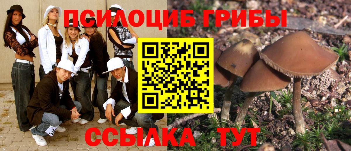 Галлюциногенные грибы Cubensis  Вход с VPN  Галлюциногенные грибы Cubensis  Долгопрудный 