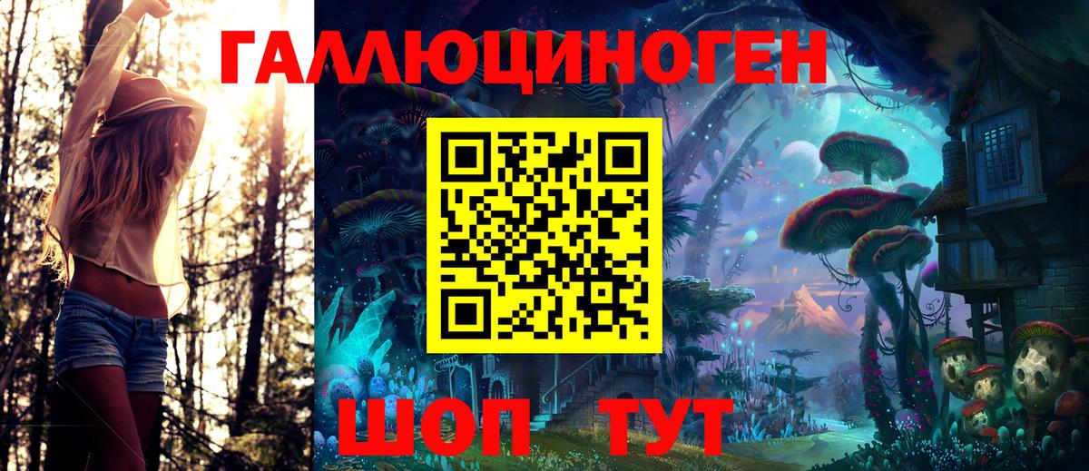 Галлюциногенные грибы Psilocybe Долгопрудный